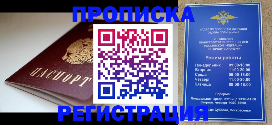 найти адрес прописки в Вельске